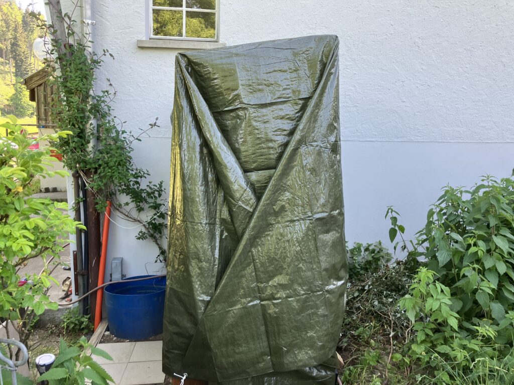 img 7933