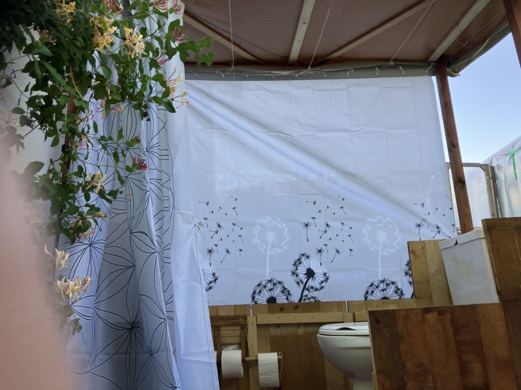 img 7956