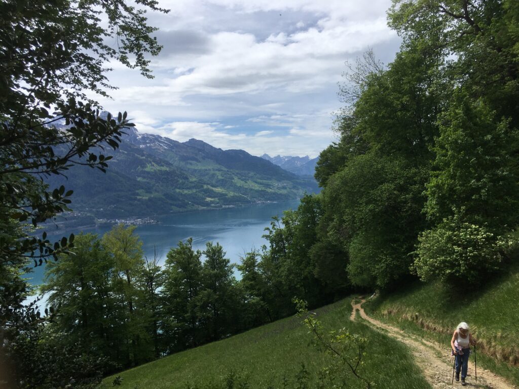 img 9229