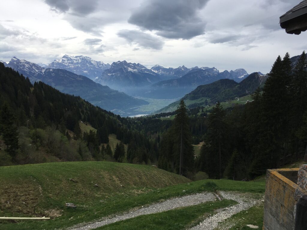 img 9253