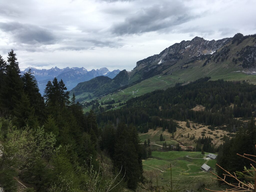 img 9256