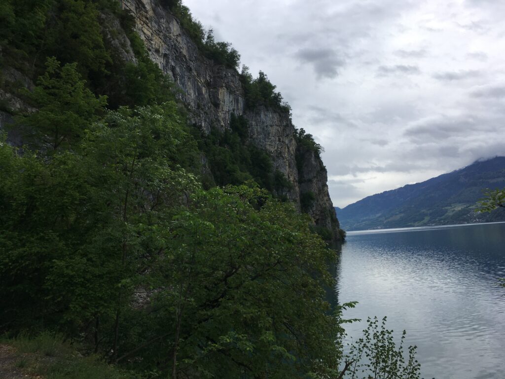 img 9284