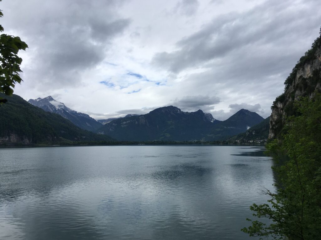 img 9299