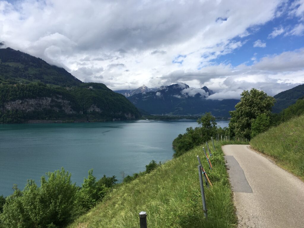 img 9311