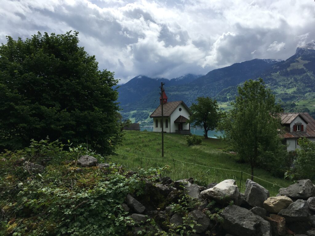 img 9313
