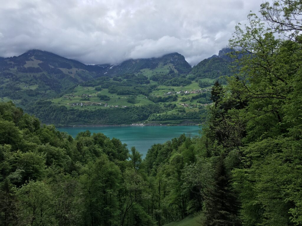 img 9327