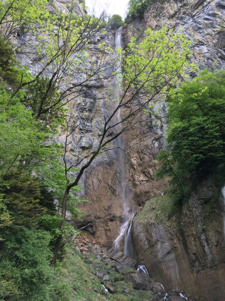 img 9329