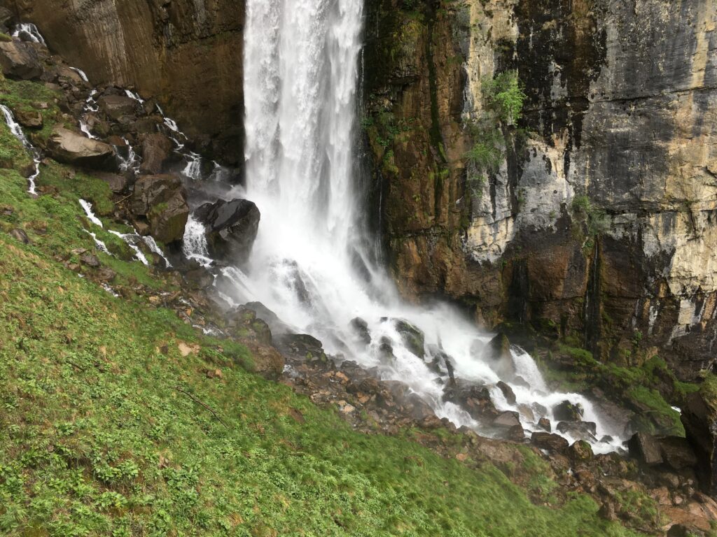 img 9331