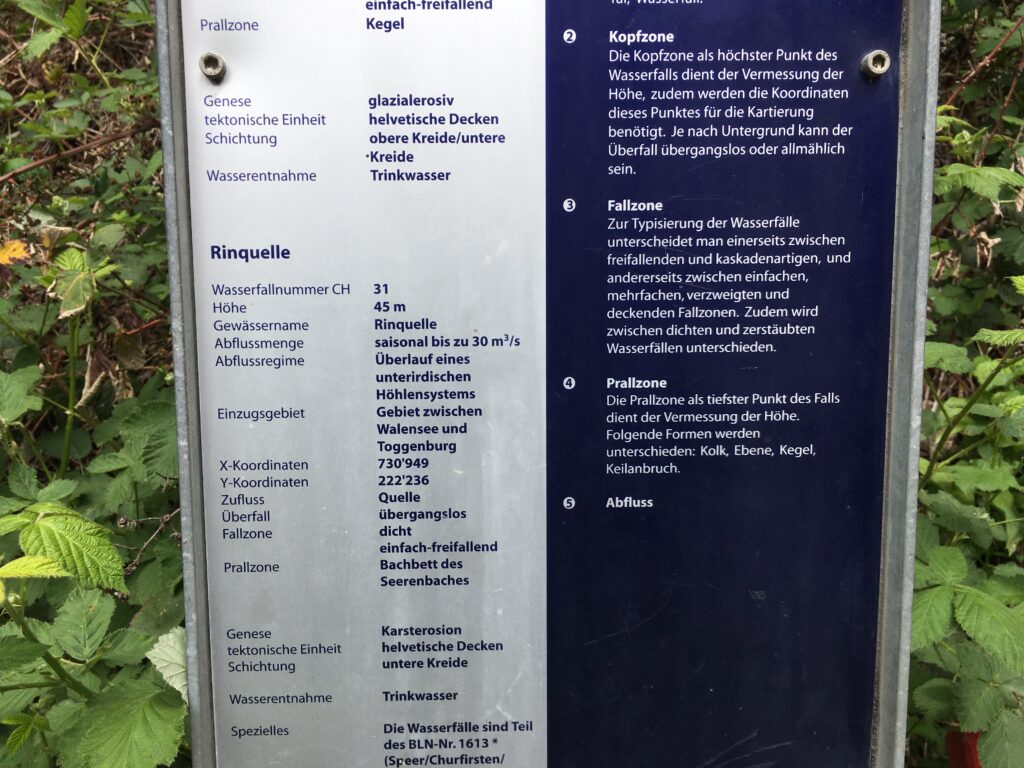 img 9334